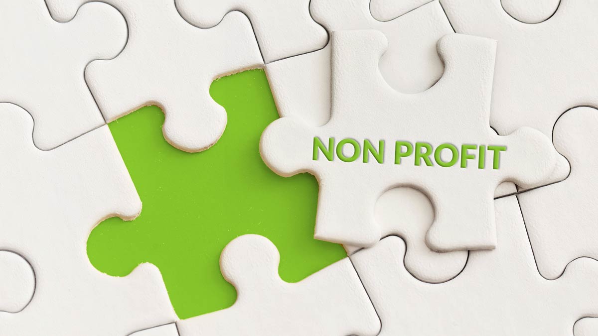 image of a puzzle piece with the word 'Non-Profit'.